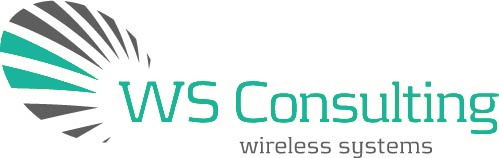 WS Consulting Logo